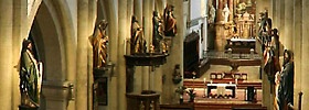 Dompfarre Wiener Neustadt Orgel
